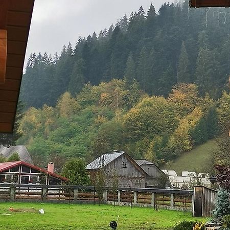 Casa De Poveste Сучевица Экстерьер фото